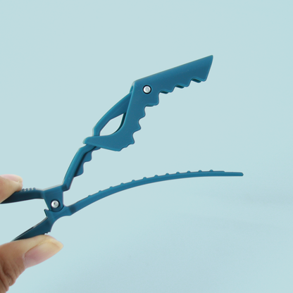 BKT Clips (pair)